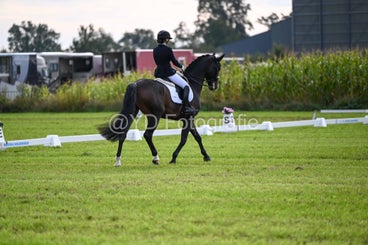 20241006-dsc_2125-standard-uejtn8.jpg