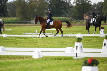 20241006-dsc_2136-standard-5zkyfl.jpg