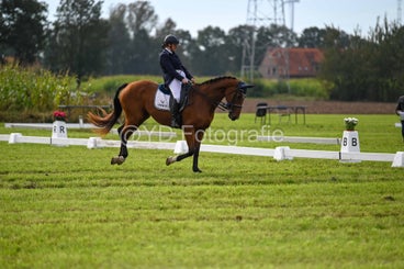 20241006-dsc_2174-standard-01ungt.jpg
