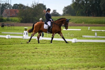 20241006-dsc_2177-standard-l30u6l.jpg