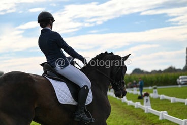 20241006-dsc_2199-standard-g9spqa.jpg