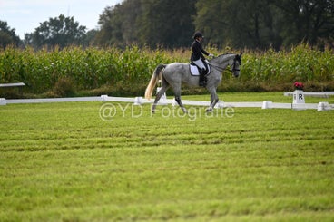 20241006-dsc_2301-standard-xbh5t6.jpg