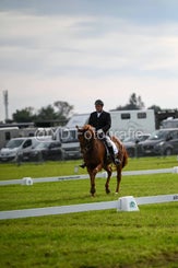 20241006-dsc_2323-standard-ryi9kg.jpg