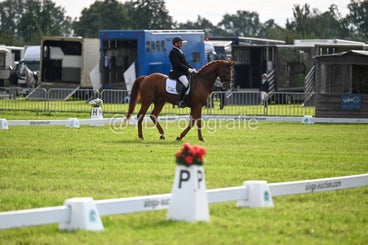 20241006-dsc_2336-standard-ojcc7f.jpg
