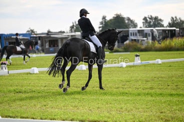 20241006-dsc_2358-standard-ceg1x8.jpg
