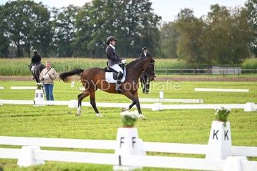 20241006-dsc_2477-standard-s8roxy.jpg