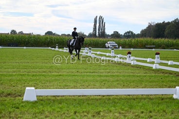 20241006-dsc_2499-standard-rxv8ad.jpg