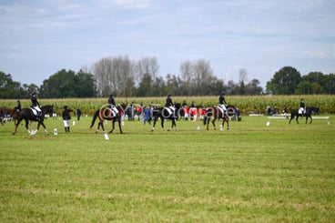 20241006-dsc_2525-standard-mwmnfk.jpg