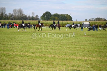 20241006-dsc_2527-standard-dh4i46.jpg