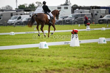 20241006-dsc_2556-standard-7a6412.jpg