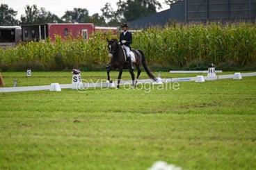 20241006-dsc_2598-standard-41nag6.jpg