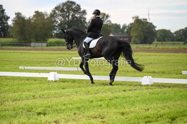 20241006-dsc_2668-standard-yuoxgg.jpg