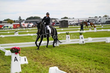 20241006-dsc_2729-standard-ebgmzu.jpg