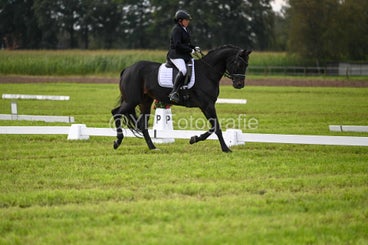 20241006-dsc_2750-standard-yrwml0.jpg