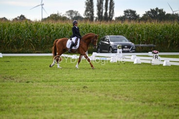 20241006-dsc_2785-standard-27ac6y.jpg