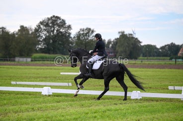20241006-dsc_2917-standard.jpg