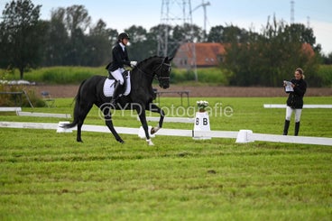 20241006-dsc_2928-standard.jpg