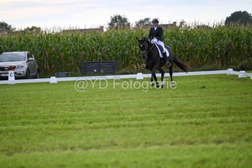 20241006-dsc_2960-standard.jpg