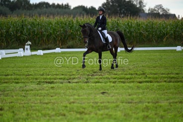 20241006-dsc_3029-standard.jpg