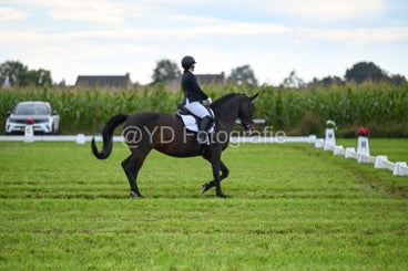 20241006-dsc_3044-standard.jpg