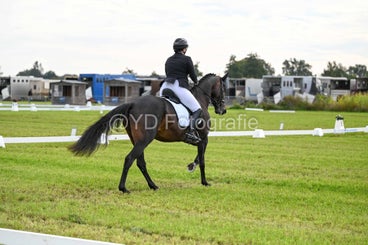 20241006-dsc_3059-standard.jpg