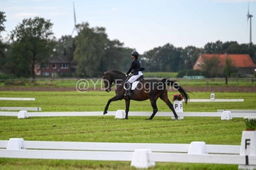 20241006-dsc_3086-standard.jpg