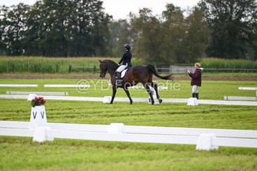 20241006-dsc_3090-standard.jpg