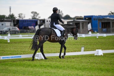 20241006-dsc_3100-standard.jpg