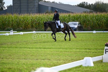 20241006-dsc_3135-standard.jpg