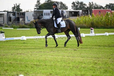 20241006-dsc_3138-standard.jpg