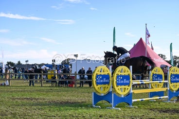 20241006-dsc_3601-standard.jpg