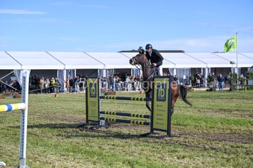 20241006-dsc_3609-standard.jpg