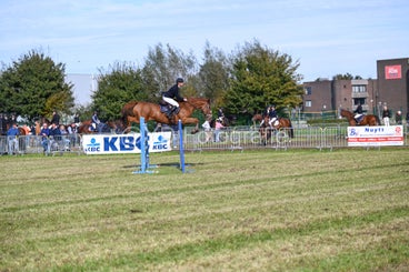 20241006-dsc_3644-standard.jpg