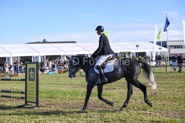 20241006-dsc_3648-standard.jpg