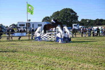 20241006-dsc_3666-standard.jpg