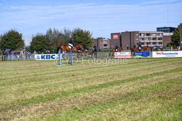20241006-dsc_3673-standard.jpg