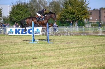 20241006-dsc_3756-standard-s39mae.jpg