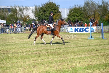 20241006-dsc_3773-standard-9t8o6p.jpg
