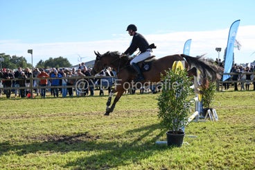 20241006-dsc_3780-standard-rb6h2x.jpg