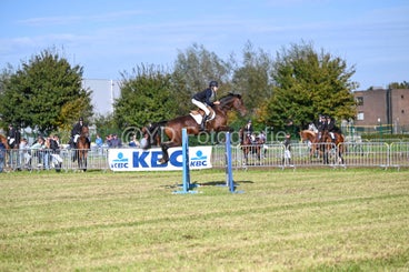 20241006-dsc_3822-standard-n0t9qg.jpg