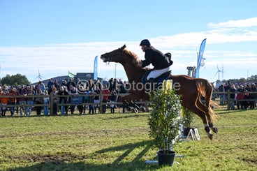 20241006-dsc_3899-standard-0x7bme.jpg
