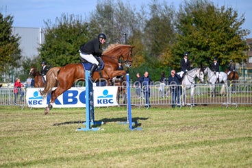 20241006-dsc_3904-standard-i7we21.jpg
