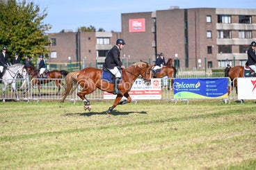 20241006-dsc_3906-standard-d6m3vf.jpg