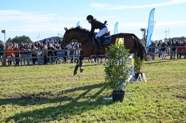 20241006-dsc_3996-standard-tt7wur.jpg