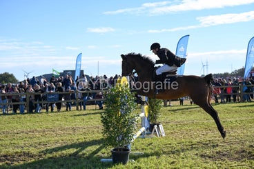 20241006-dsc_4013-standard-gkxjsm.jpg