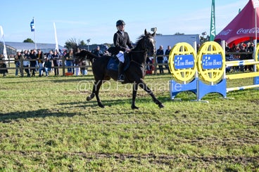 20241006-dsc_4059-standard-pty0wr.jpg