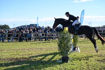 20241006-dsc_4104-standard-4jgqe6.jpg