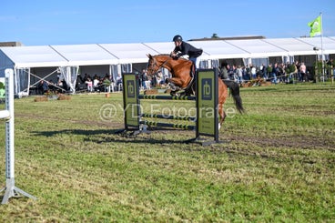 20241006-dsc_4136-standard-1xxea8.jpg