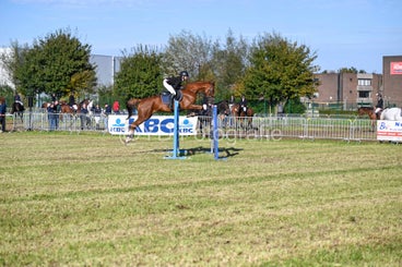 20241006-dsc_4182-standard-yttcp1.jpg