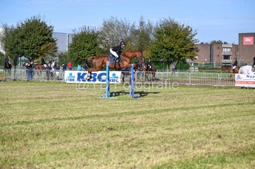 20241006-dsc_4183-standard-1jmn21.jpg